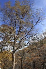IMG_8610-2
