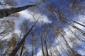 IMG_8614-3