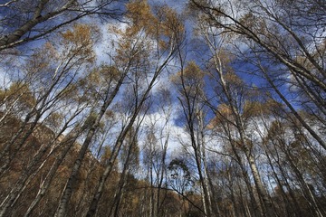 IMG_8638-8