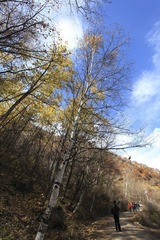 IMG_8660-10