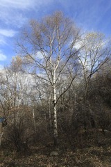 IMG_8674-15