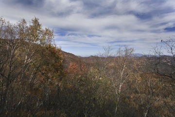 IMG_8698-18