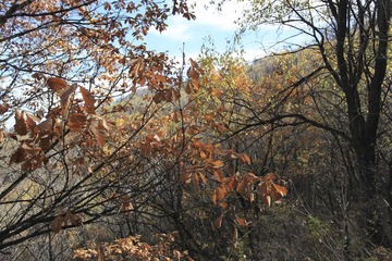 IMG_8719-20