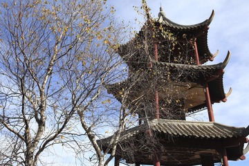 IMG_8740-23