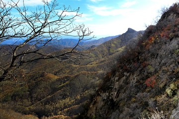 IMG_8768-26