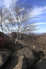 IMG_8797-27