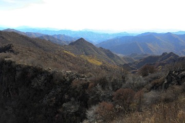 IMG_8811-29
