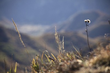 IMG_8840-33