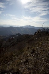 IMG_8943-43