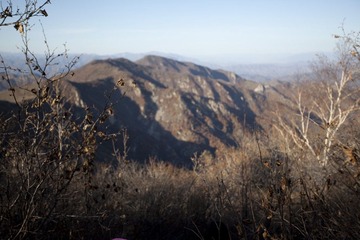 IMG_9010-57