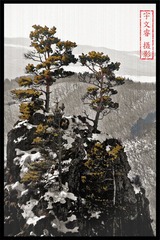 麒麟山油画