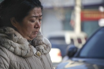 东北女强人2