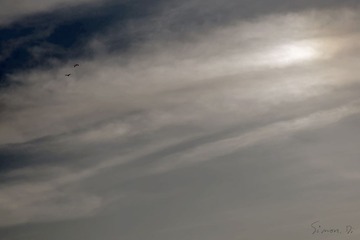 DSC_3240.jpg