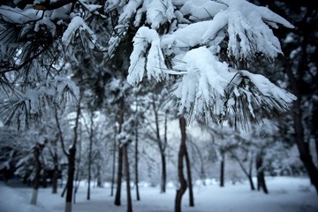 DSC_3075.jpg