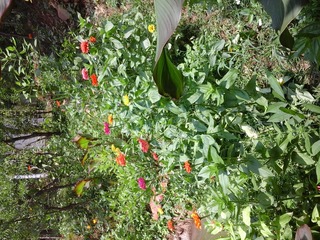 20150621_121229