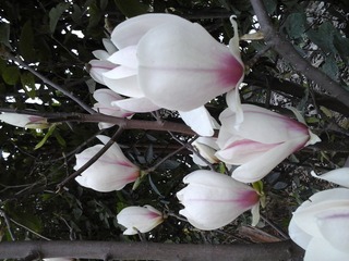 20150315_172837
