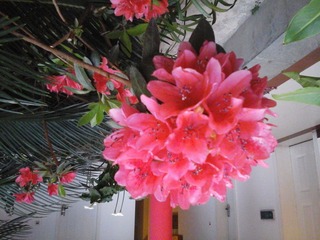 20150329_193740