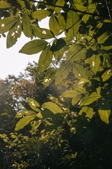 1675943