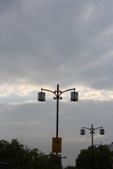 807033