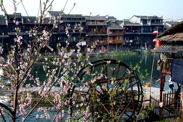 DSC_0127.JPG