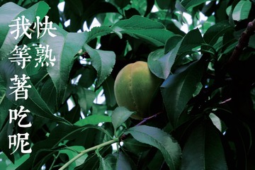 C2138DD0-5865-43DE-90E7-946B5596B928/L0/001