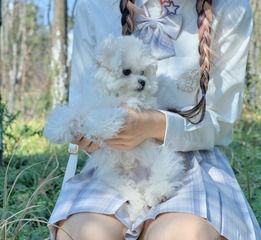 E38AE586-BF9B-48CC-A653-0799912AECF8/L0/001