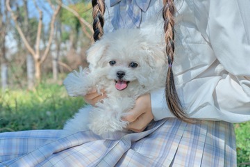 7B8CA2BD-C686-4CC0-9406-81EF3A94F4DE/L0/001