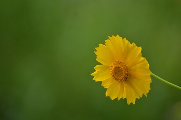 878171