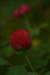 876025