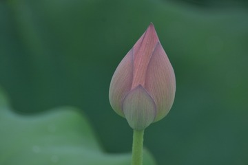 886255