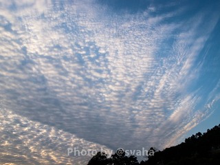 IMG_7530.jpg