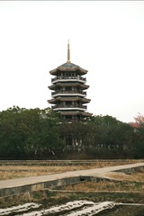 98F020BA-ABF4-48D4-993E-E83CE1EC81E8/L0/001