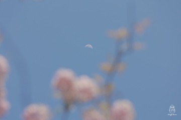 A09E7154-6857-4DC8-9948-D7420F9E274C/L0/001