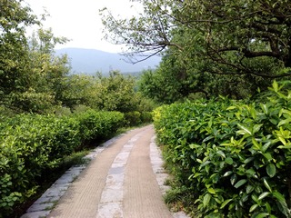 408728