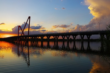443631