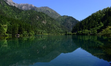 DSC_0139.jpg