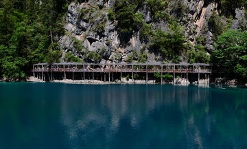 DSC_0156.jpg
