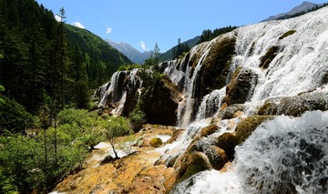 DSC_0089.jpg