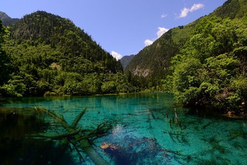DSC_0190.JPG