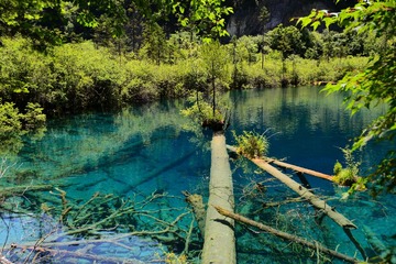 DSC_0207.JPG
