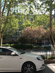 1AE24800-402E-45AE-8623-30BA7866FDAA/L0/001