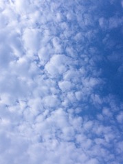 886D4F97-D1C4-4595-936A-B9847B4154AD/L0/001