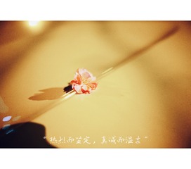 884A56E0-C18A-4C24-8399-B14D82CAEAFA/L0/001