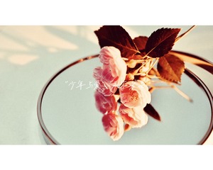 23F48ED5-50D4-4C25-B784-788B78A4E6C9/L0/001