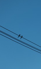 313326