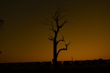 311880