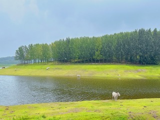 E8E2D4A5-C0D0-41B0-864E-C37CCF118D80/L0/001
