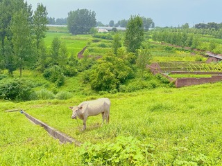 76FACA7E-0571-41B5-B6C5-7023854094F0/L0/001