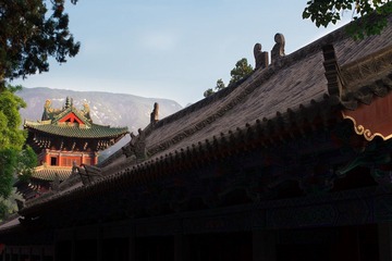 IMG-461_調整大小.JPG