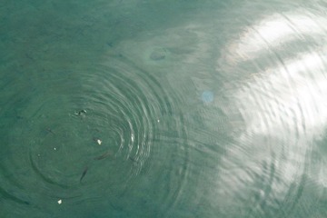 IMG-67_調整大小.JPG